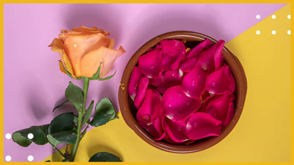 طرز تهیه گلاب خانگی: دو روش آسان و کاربردی